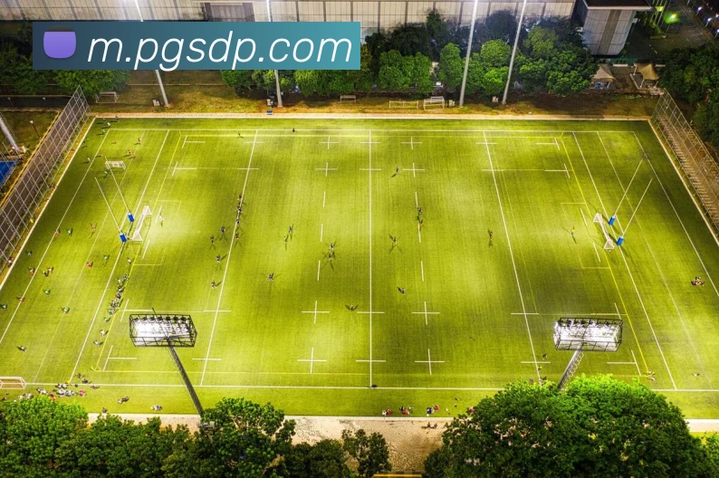 pgAPP 体育赛事宣传图